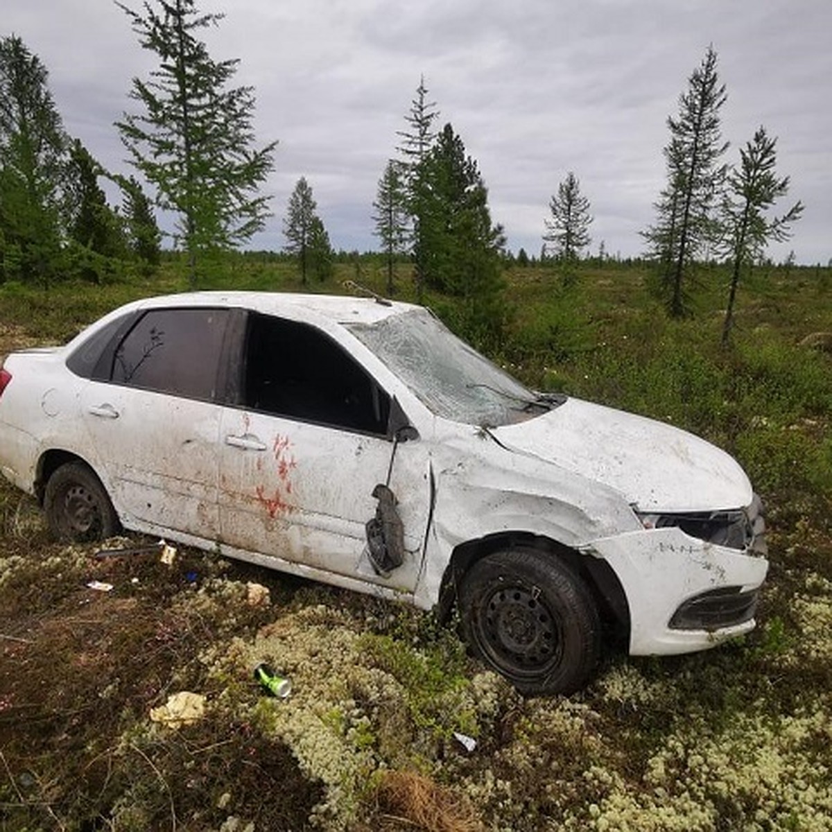 На трассе Сургут-Салехард в ДТП пострадали два человека - KP.RU