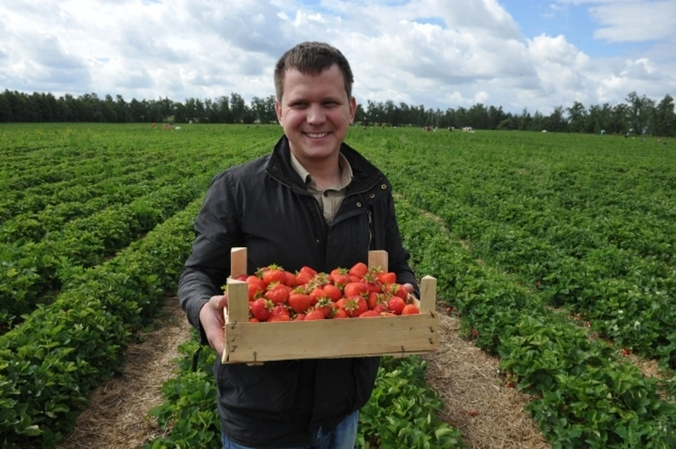 Бизнес в сельском хозяйстве можно делать на всём - даже на ягодах!