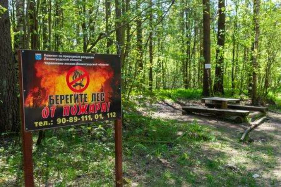 МегаФон организовал противопожарное наблюдение за лесами России.