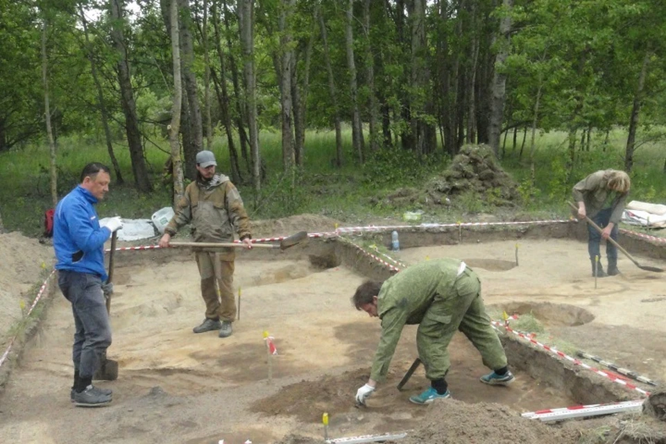 Место археологических раскопок в Багратионовском районе.