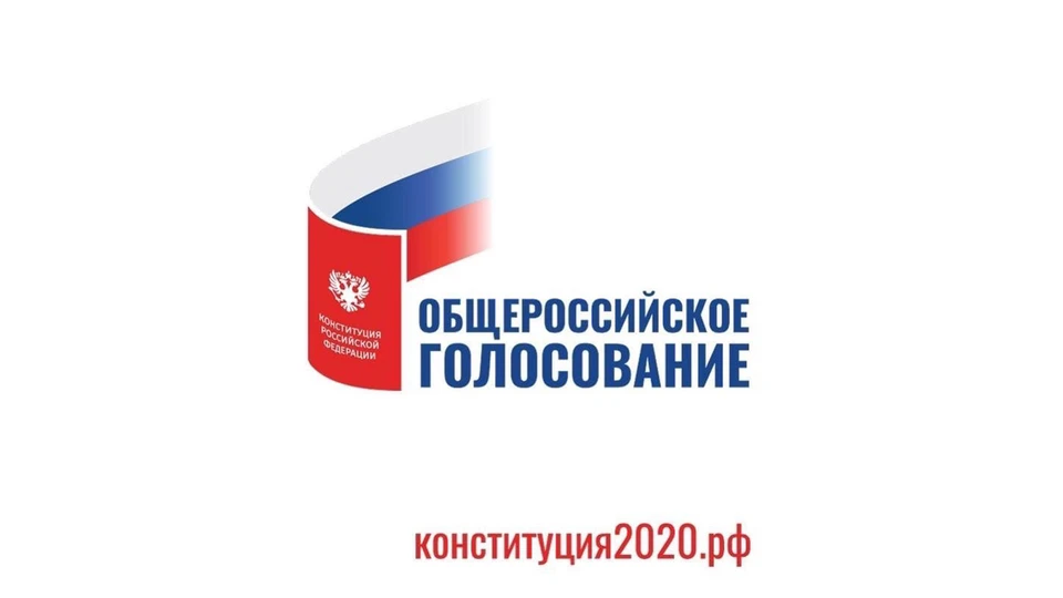 Наблюдение за ходом Всероссийского голосования