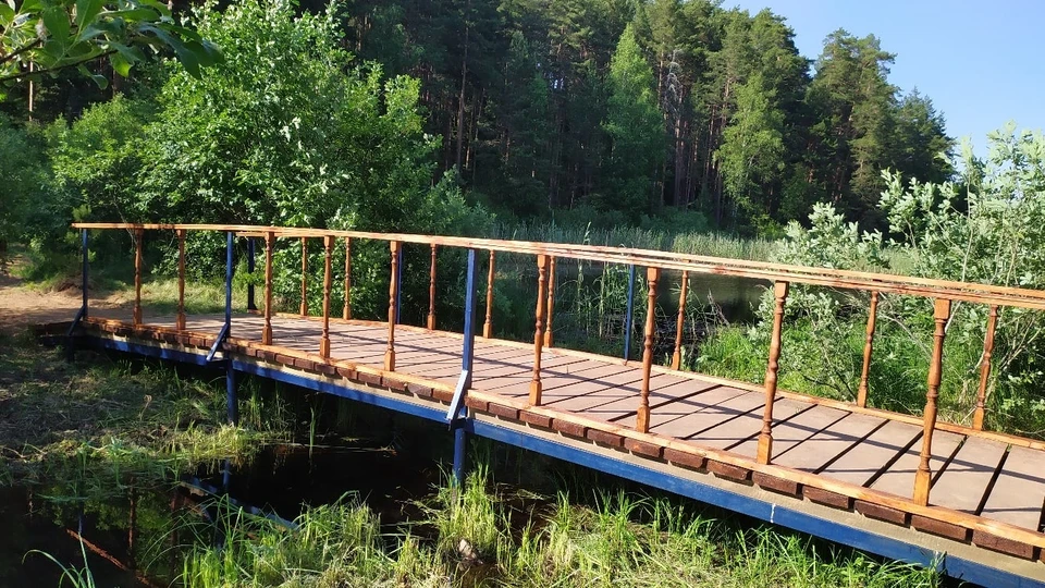 Вот такой мост построили инициативные граждане в Тверской области. Фото: vk.com/#ЧистоЕж