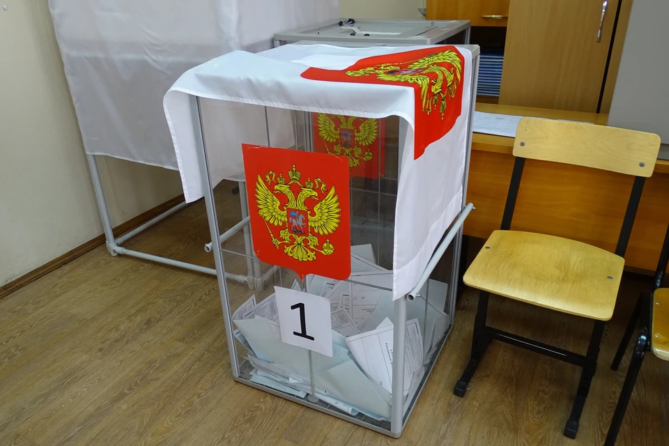 Большинство липчан одобрили поправки в Конституцию РФ