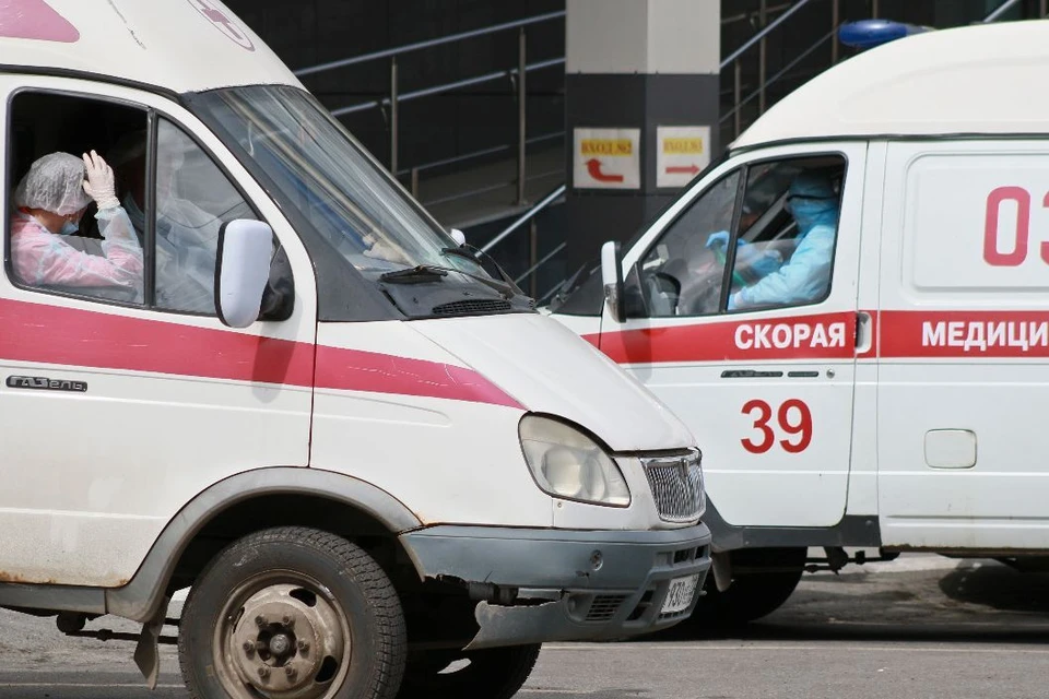 Медики.