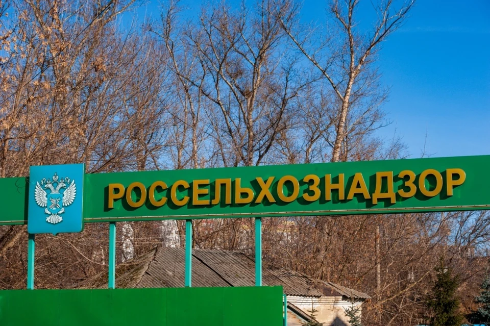 В ряде орловских магазинов нашли под радужную форель под видом семги