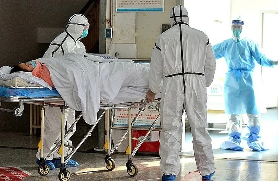 МИД России не видит серьезных угроз распространения чумы из Монголии и Китая