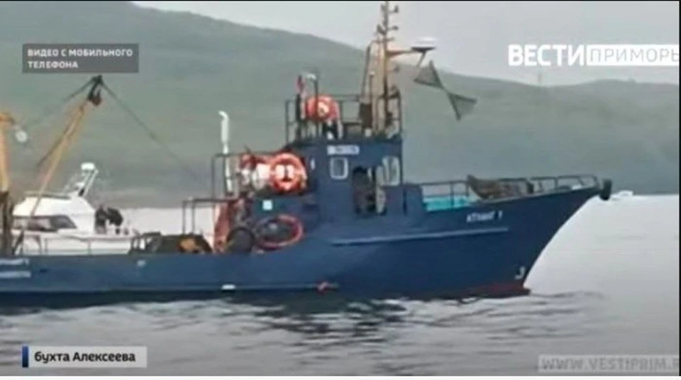 Скриншот видеоматериала "Вести. Приморье" о морских браконьерах