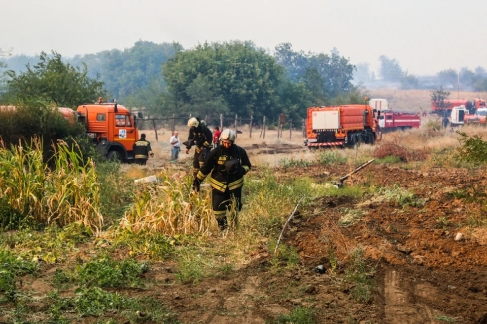 Пожары бушуют в семи районах Волгоградской области.
