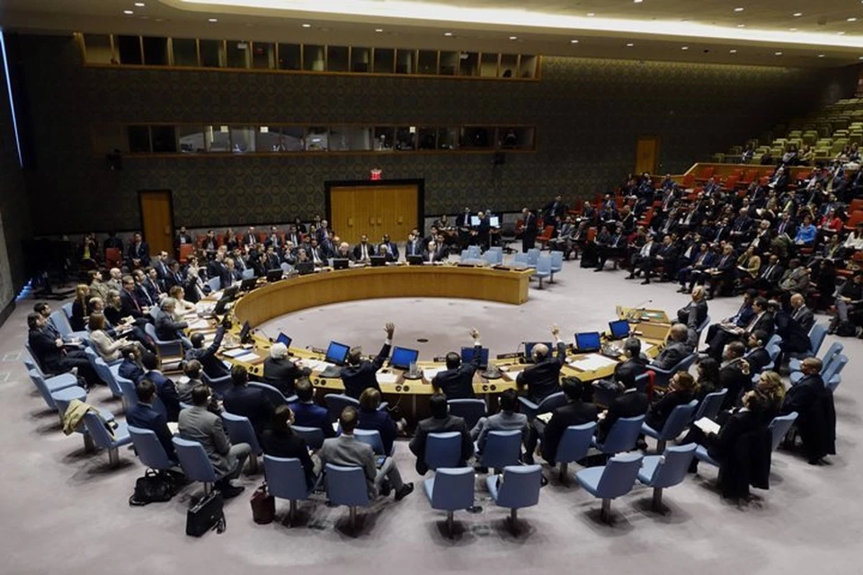 Совет Безопасности не принял предложенный Россией проект резолюции о доставке гуманитарной помощи в Сирию