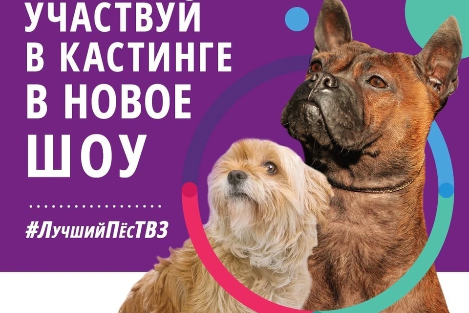 Участвовать могут любые породы.