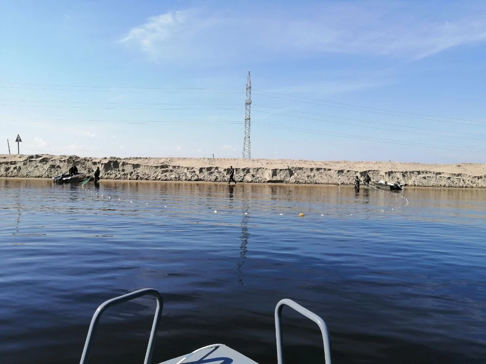Мальки пеляди отправились в большое плавание. Фото - АО «Тюменнефтегаз».