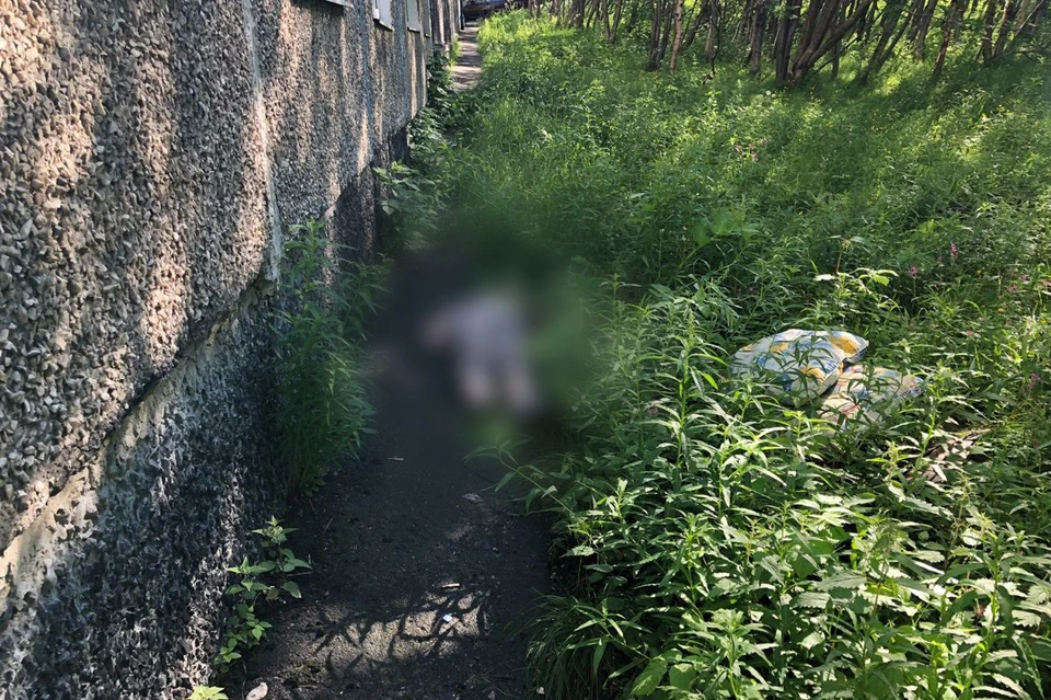 Падение со второго этажа оказалось смертельынм для пенсионерки. Фото: Следственный комитет по Мурманской области