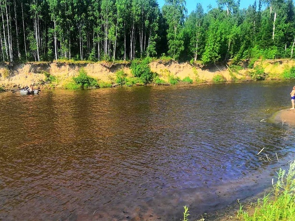 За сутки в Югре при купании погибли три человека - KP.RU