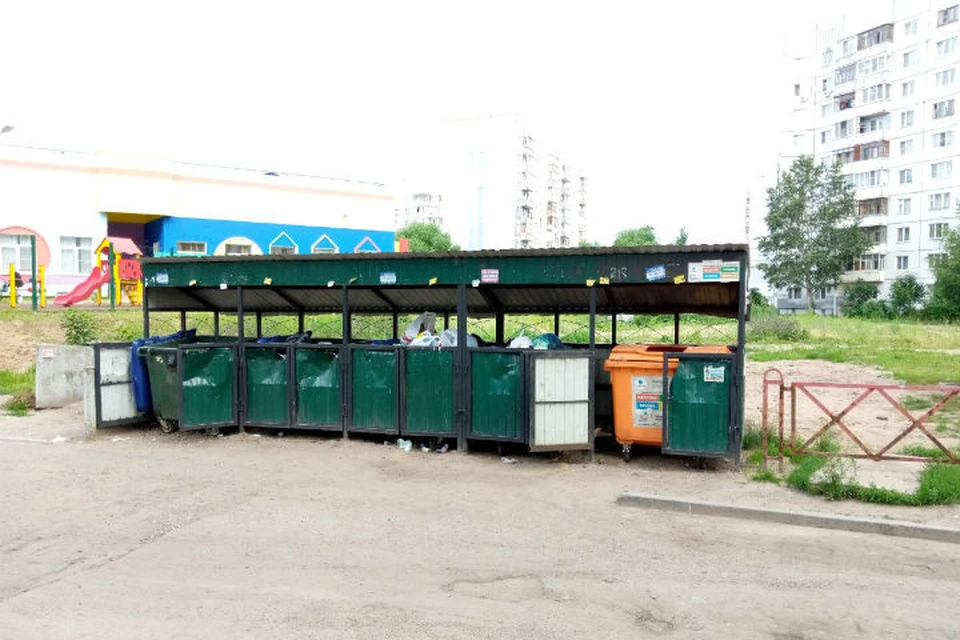 У мусорных контейнеров возле детского сада №111 расплодились крысы. ФОТО: группа "Жесть Ярославль" ВКонтакте
