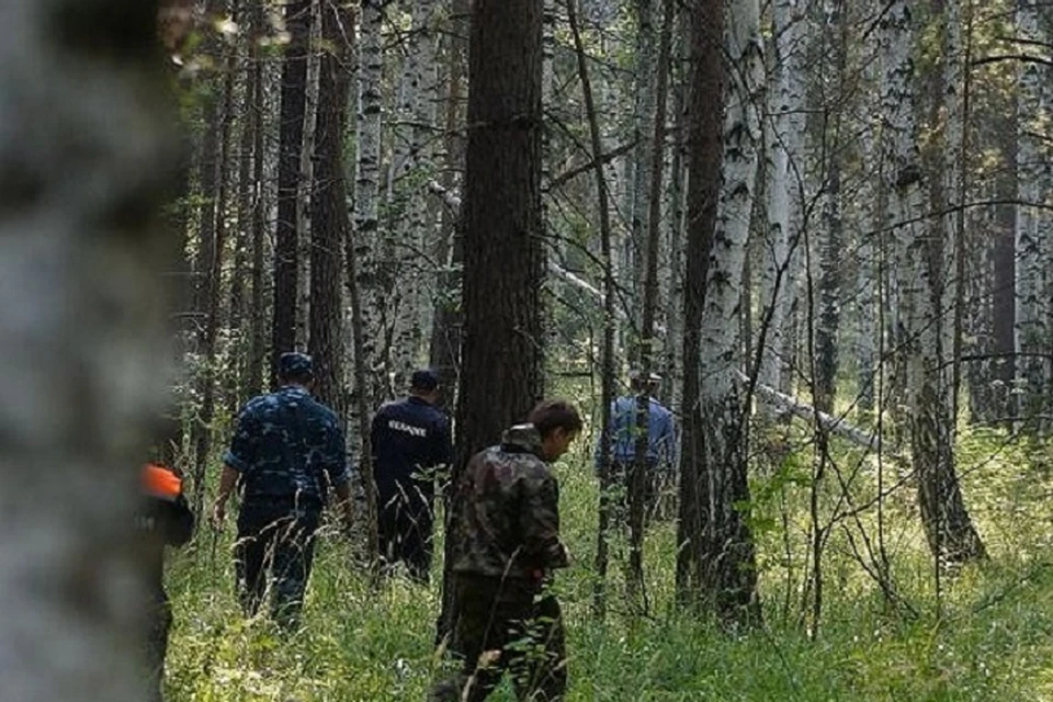 Проход в лес закрыт. Толпа грибников в лесу.