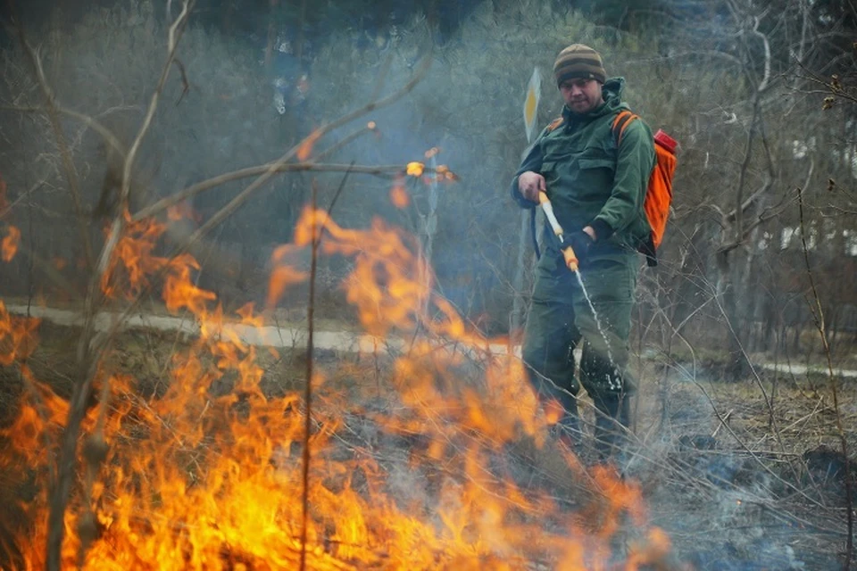 До 90% лесных пожаров спасателям удается потушить уже в первые сутки после обнаружения