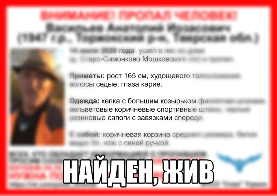 Спустя шесть дней, проведенных в лесу, дедушка нашелся живым Фото: vk.com/ВПСО "Сова" Тверь и Тверская область