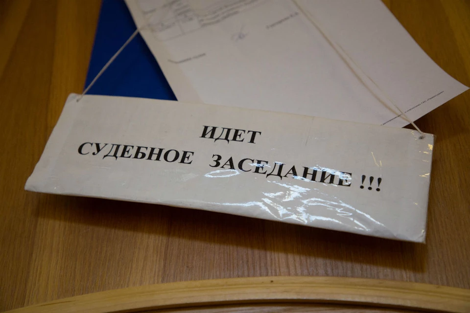 В ходе судебного заседания девушка признала свою вину и раскаялась в содеянном.