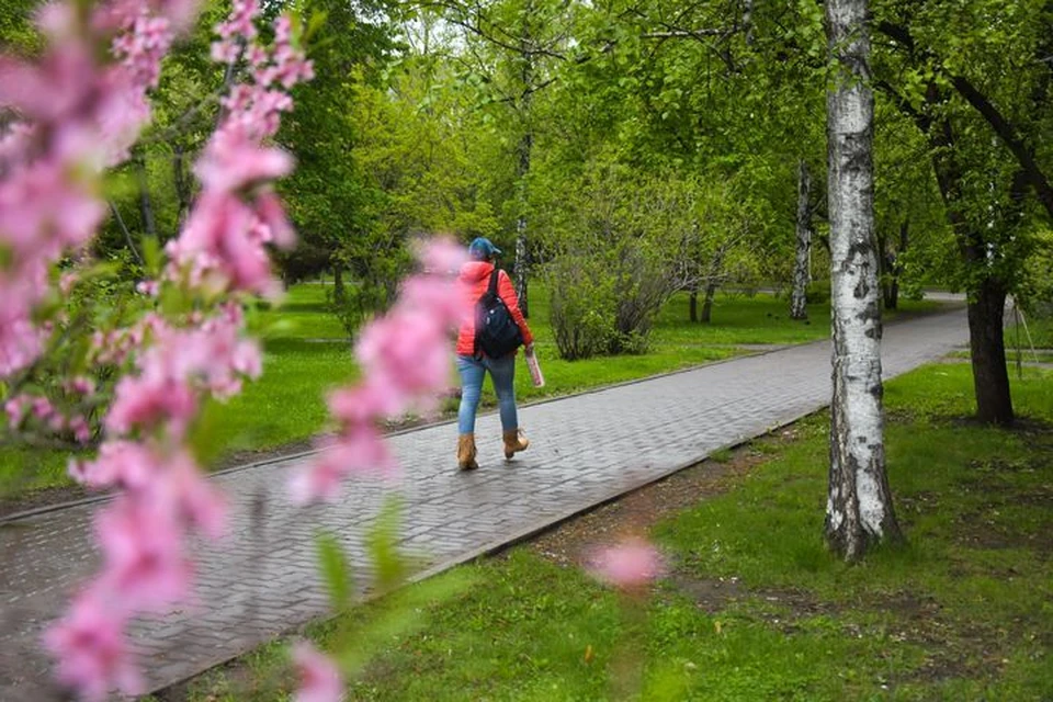 В Новосибирск вернулась прохлада.