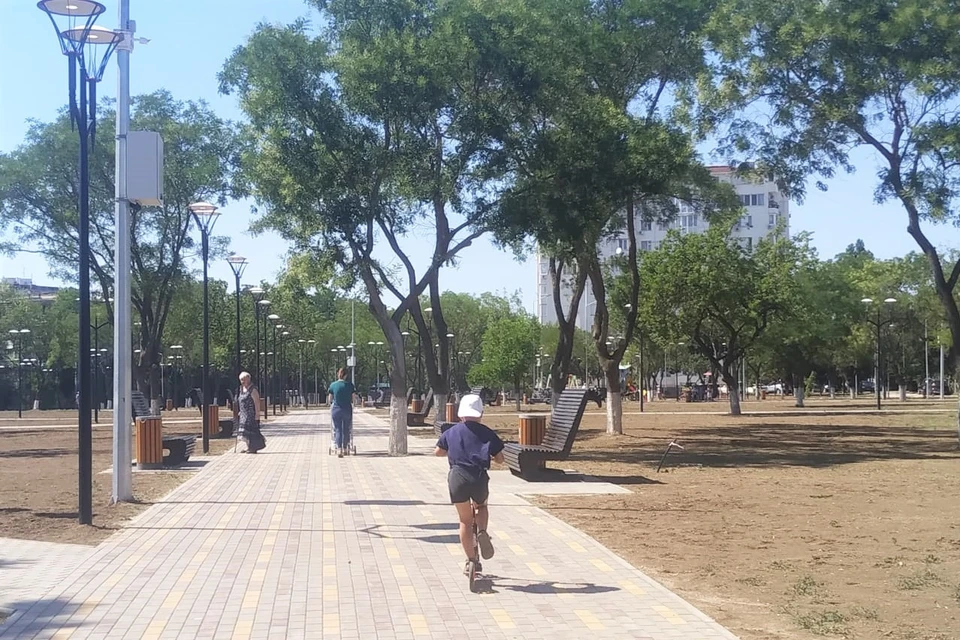 Осенью в парке появятся деревья и кустарники, и тогда в нем станет еще красивей