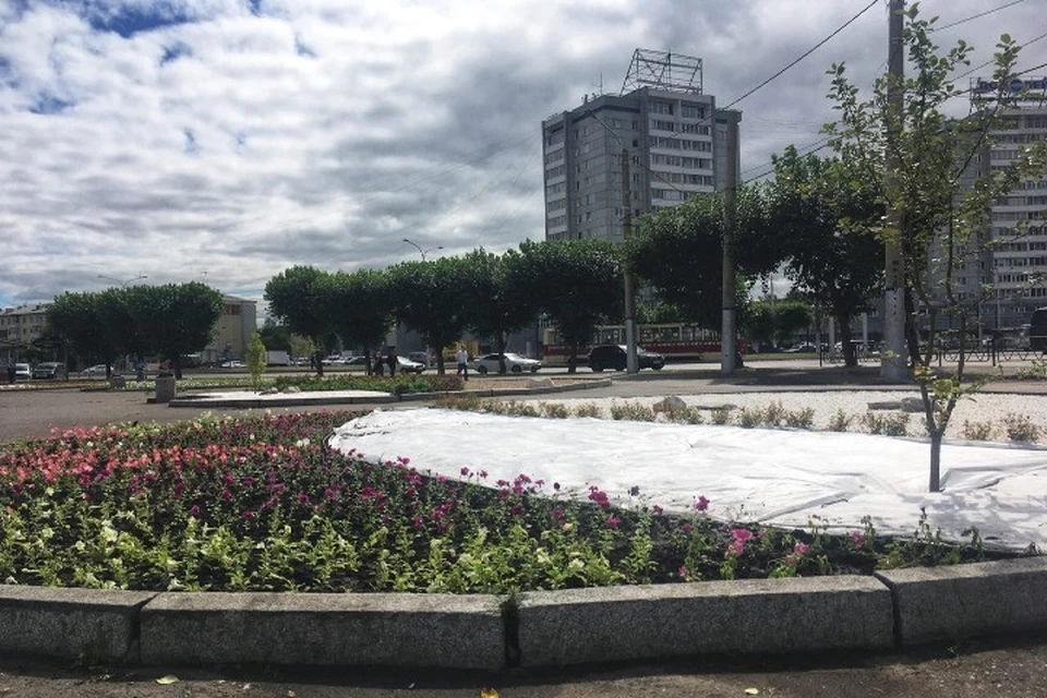Новые клумбы на Предмостной площади Фото: vk.com/krasnoyarskrf