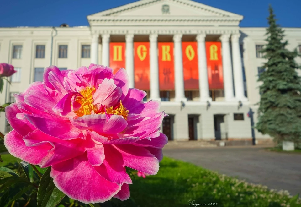 Фото: Катерина Кочкина