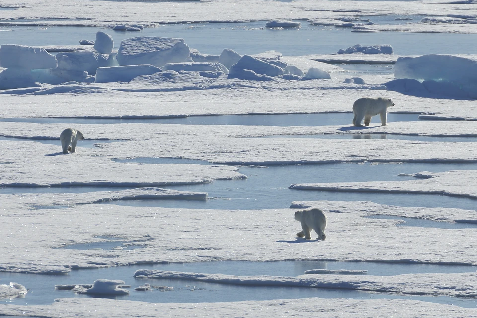 Советские ученые на протяжении 60-ти с лишним лет пытались разморозить и обогреть Арктику.