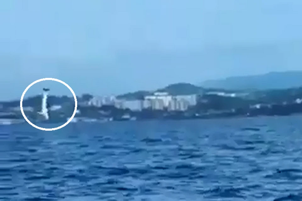 Акула сняли возле острова Ханган.