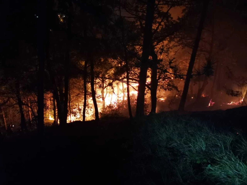 В Сочи крупный лесной пожар в не могут потушить почти сутки. Фото пресс-службы Сочинского национального парка
