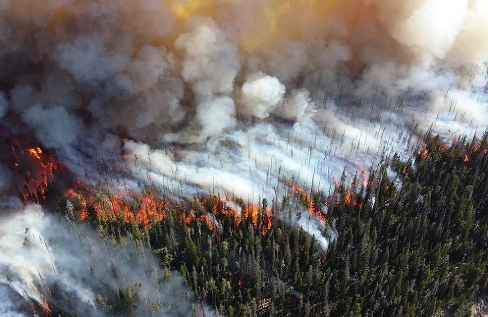 При этом локализовано четыре лесных пожара на территории Советского лесничества