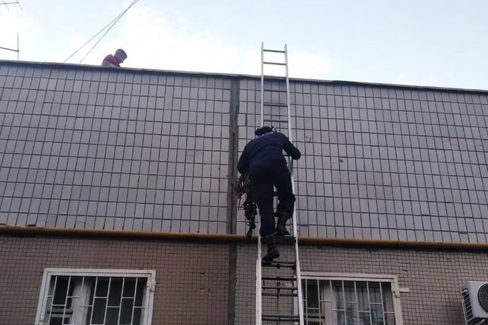 Фото: пресс-служба МЧС Ульяновской области