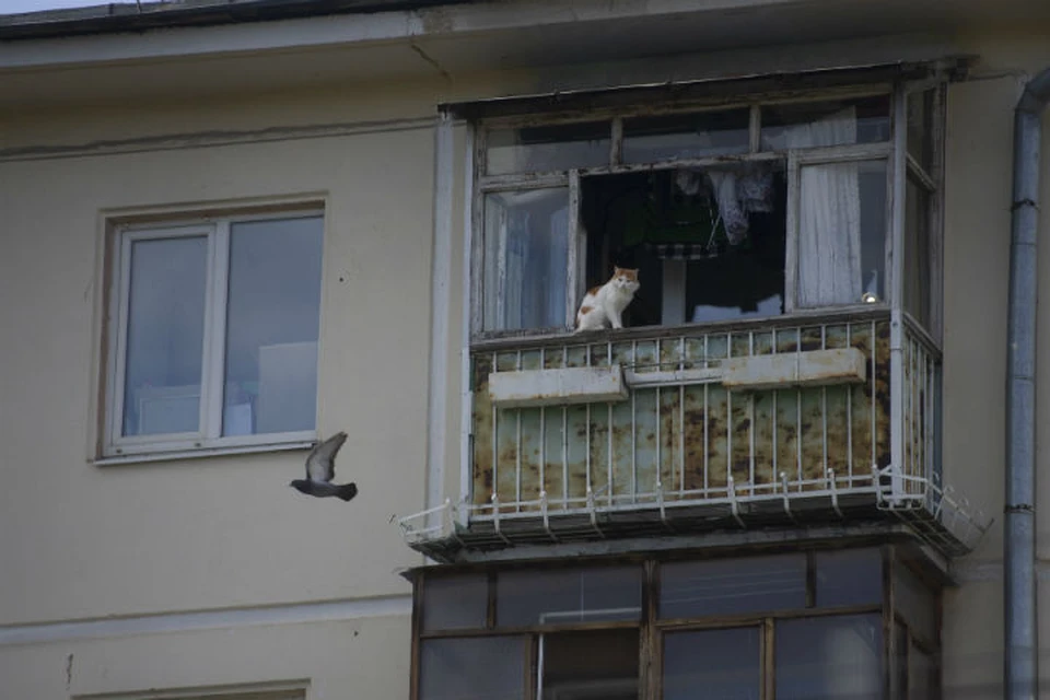 Балконов, техническое состояние которых оставляет желать лучшего, в Ярославле немало