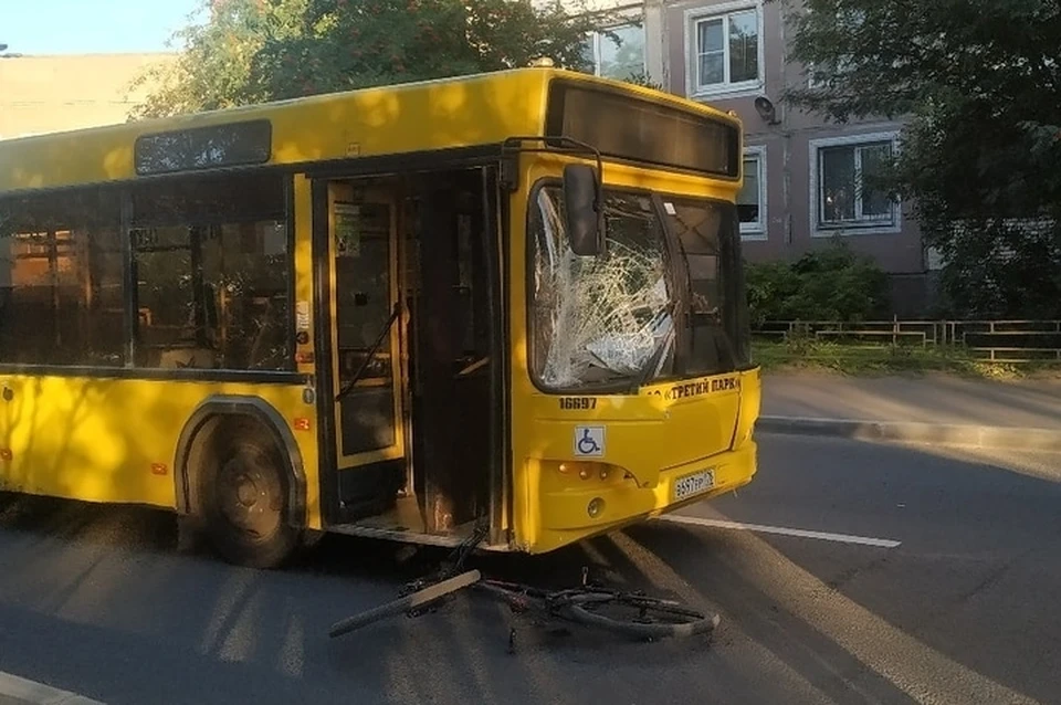 Велосипедист попал под автобус на улице Шаврова в Санкт-Петербурге. Фото: vk.com/spb_today
