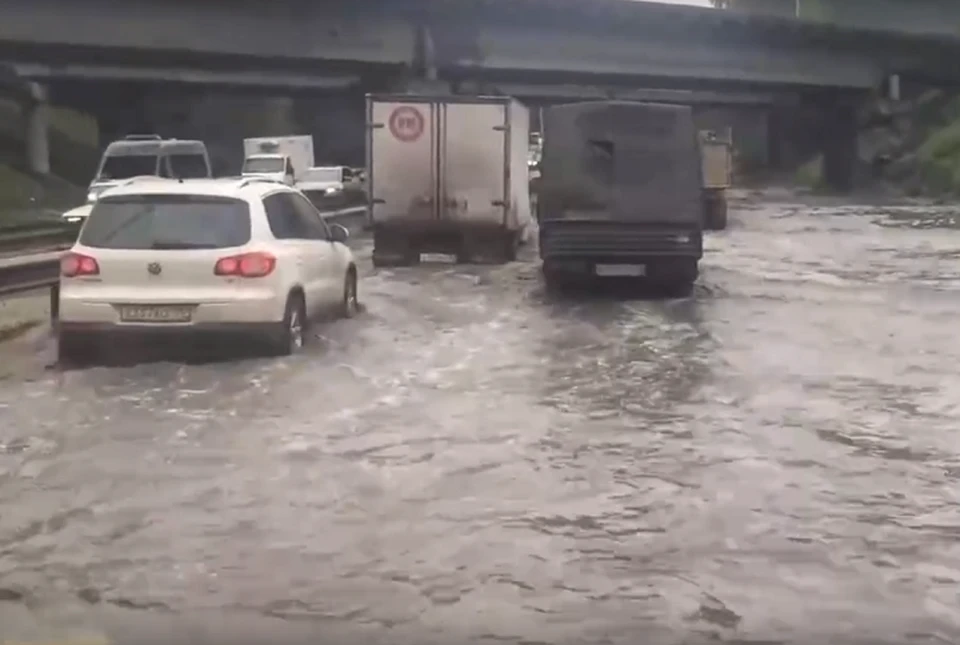 Фото: скриншот с видео