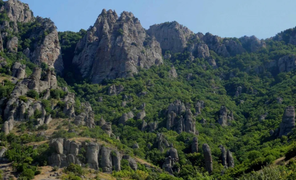Девушка скончалась на месте. Фото: Википедия.
