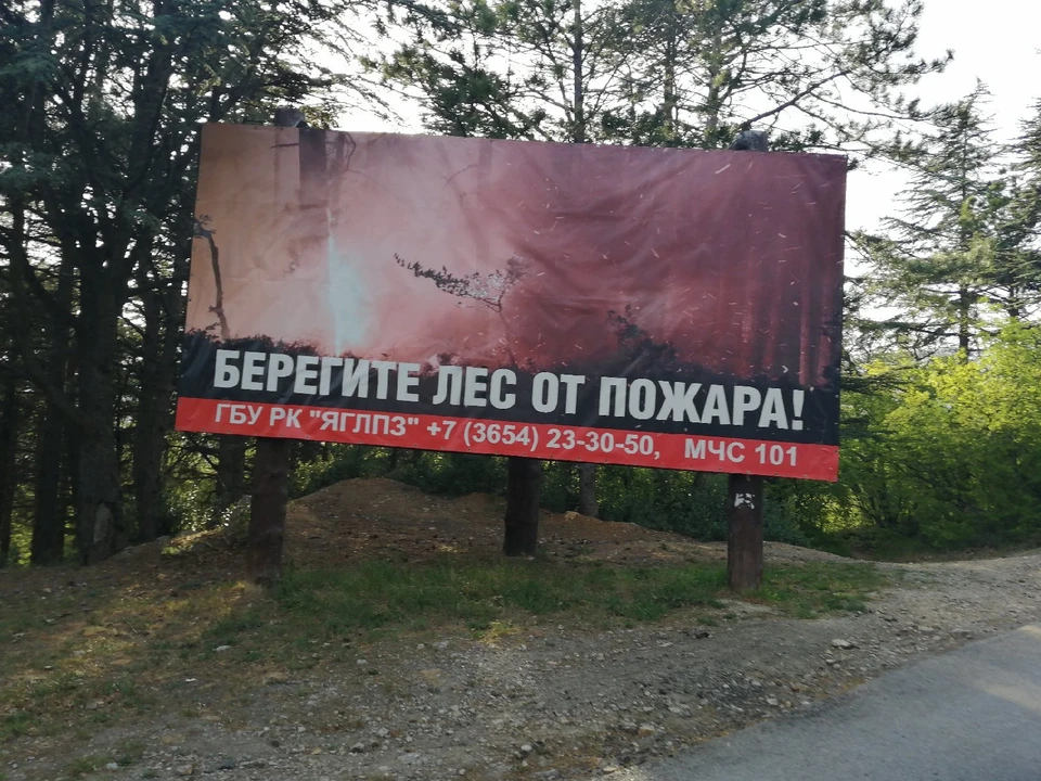 В лесах нельзя разводить костры.
