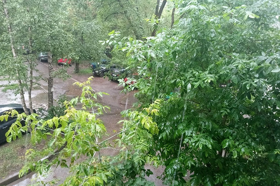 В Тверь пришли дожди