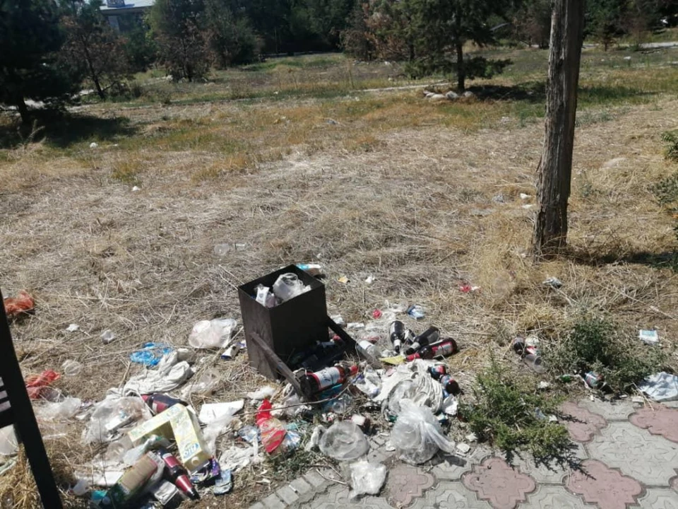 Ведомство просто игнорирует грязь и погибающие деревья, сообщили в мэрии.