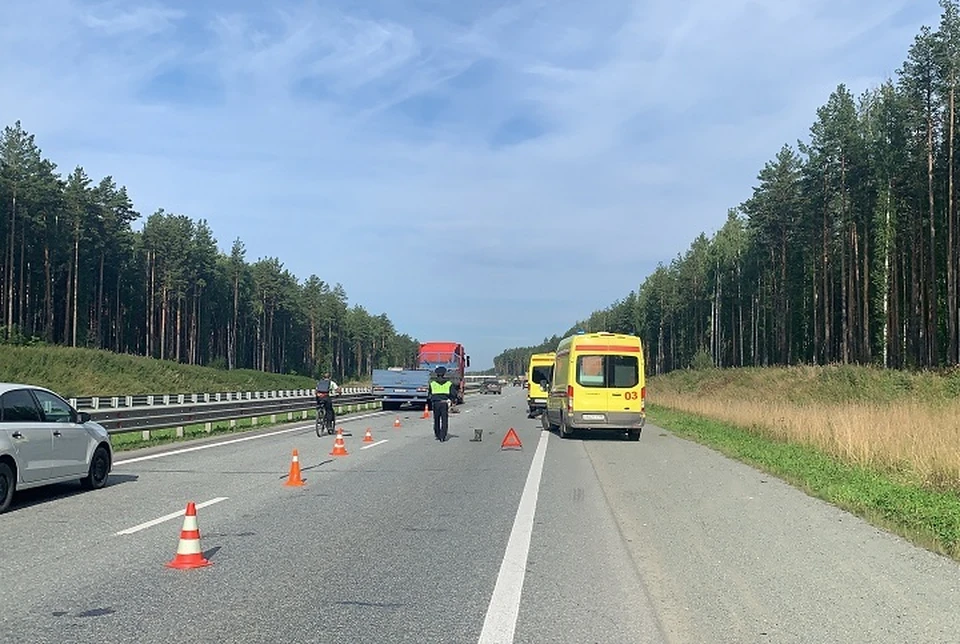 Фото: отдел пропаганды ГИБДД по Екатеринбургу