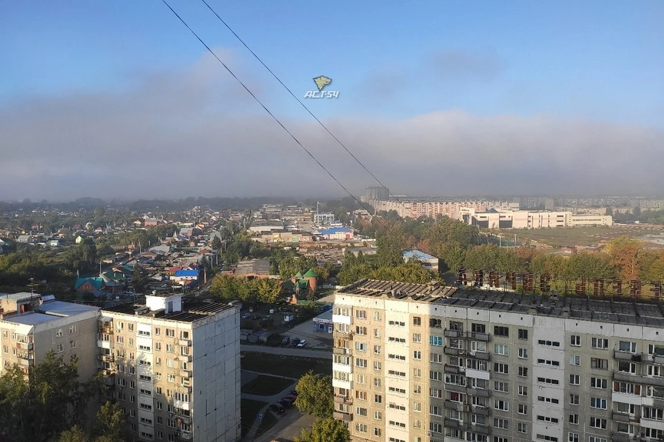 Опять новосибирск. Левобережье Новосибирска. Вонь в Новосибирске. Жители левого берега Новосибирск.