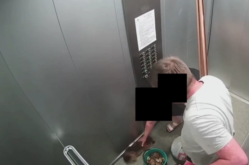 Находящаяся в лифте женщина пыталась остановить мужчину. Фото: скриншот с видео