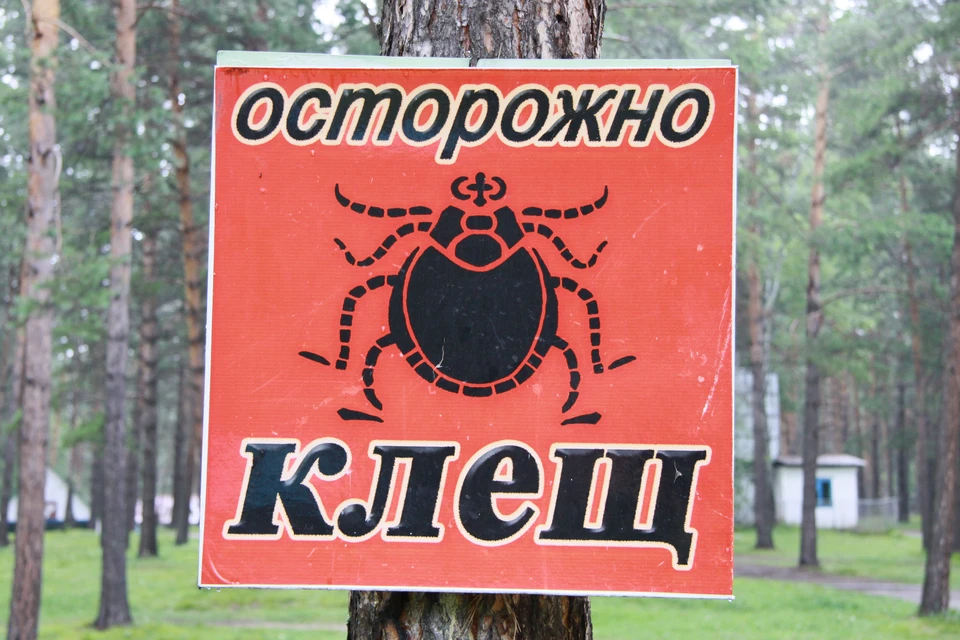 Всего с начала сезона активности паразитов в медучреждения обратились 9 815 человек
