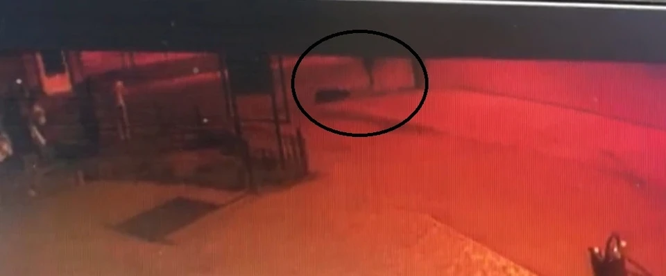 Астраханец пойдёт под суд за убийство по неосторожности