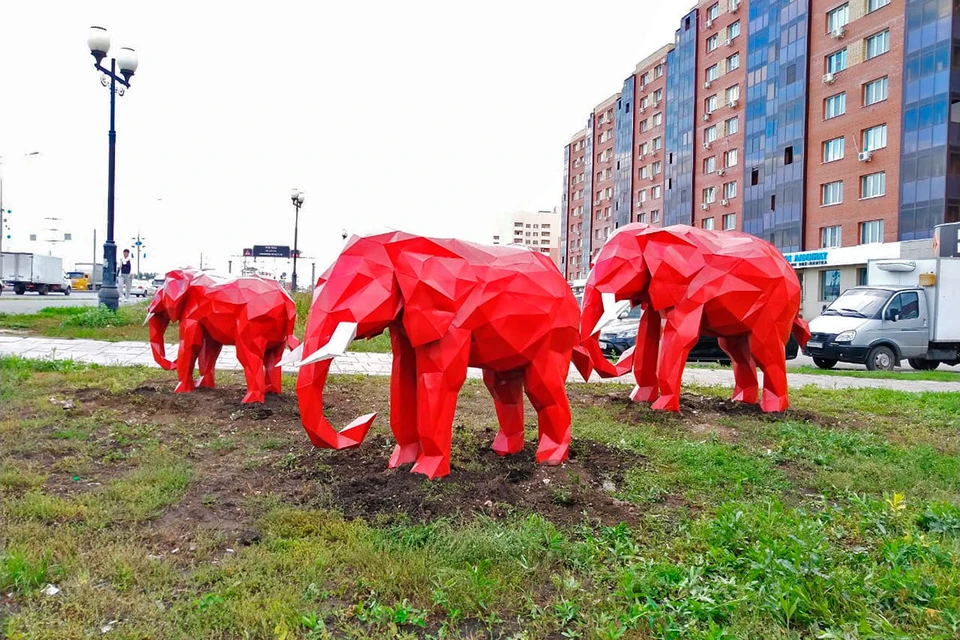 В «Новой Самаре» поселилась целая семья красных слонов.
