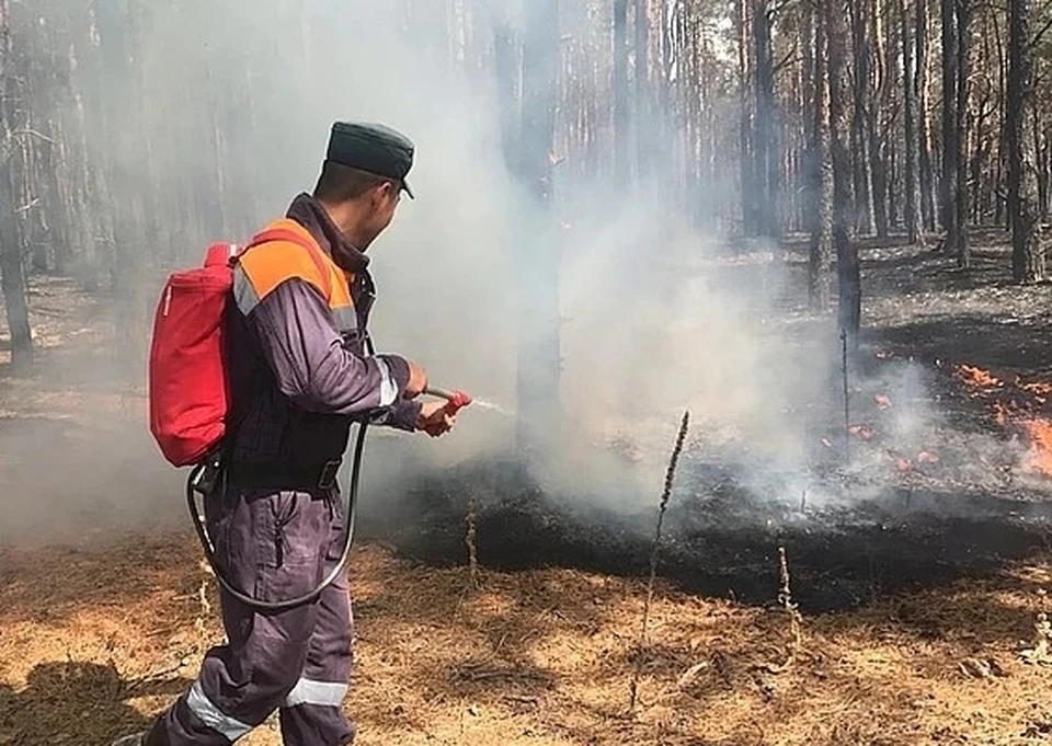 Причиной пожаров, полыхавших в Ростовской области в сентябре, признали человеческий фактор. Фото: ГУ МЧС России по РО.