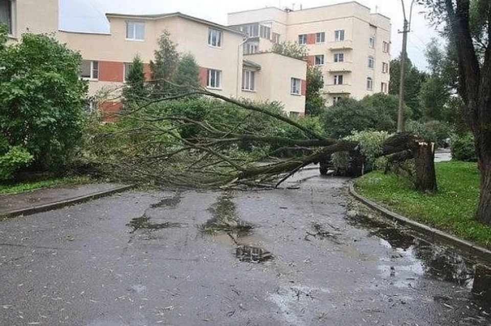 Сильный ветер в санкт петербурге