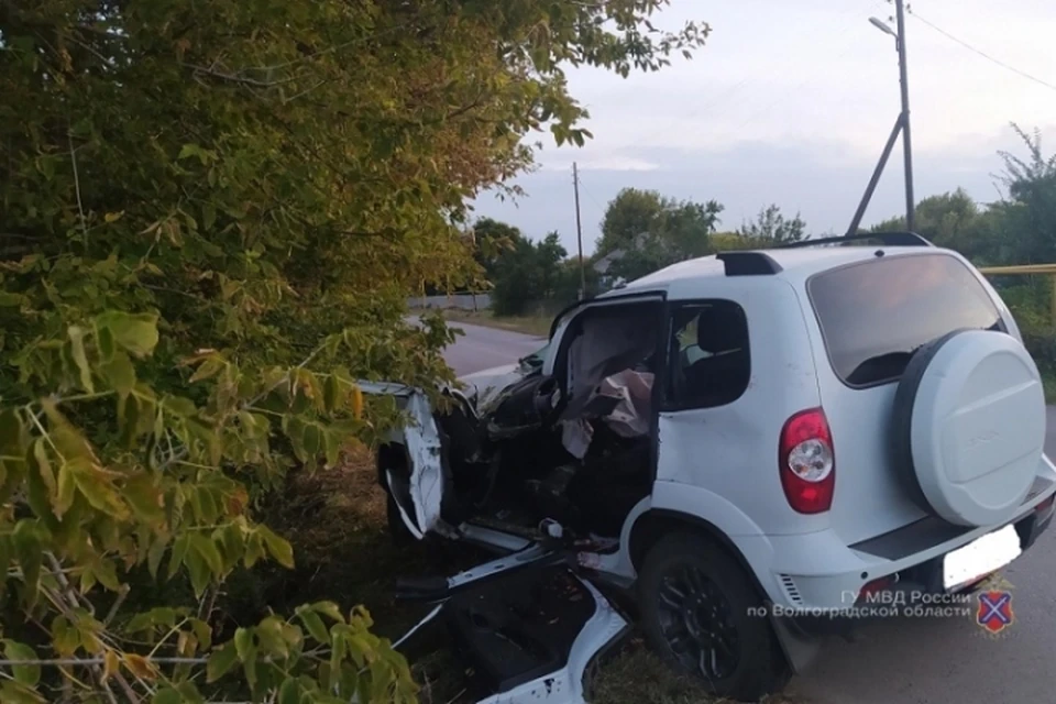 Машина врезалась в дерево.