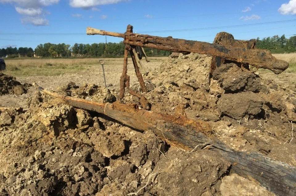 На Пулковских высотах вновь нашли останки бойцов Красной Армии с оружием. Фото: vk.com/club140412014