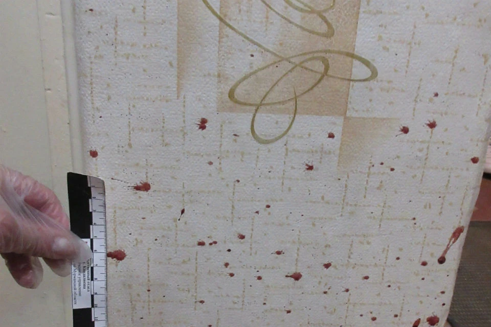 Девушка семь раз ударила прадеда камнем. Фото: СКР по Мурманской области