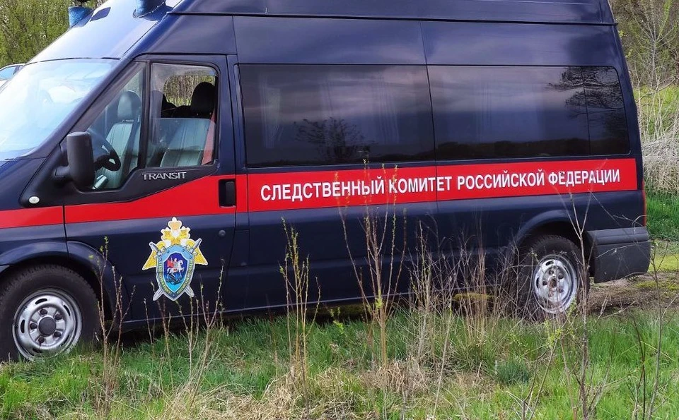 Злоумышленницу задержали, решается вопрос о заключении ее под стражу